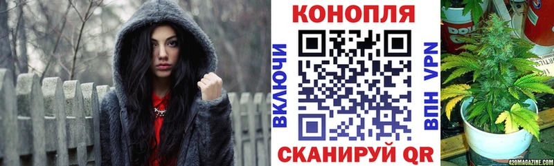 Каннабис сатива Балаково